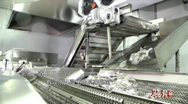 海參,大連海參,曉芹海參,海參加工 海參,大連海參,曉芹海參,海參加工