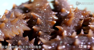 海參進(jìn)補(bǔ)從娃娃抓起，兒童吃海參的好處！