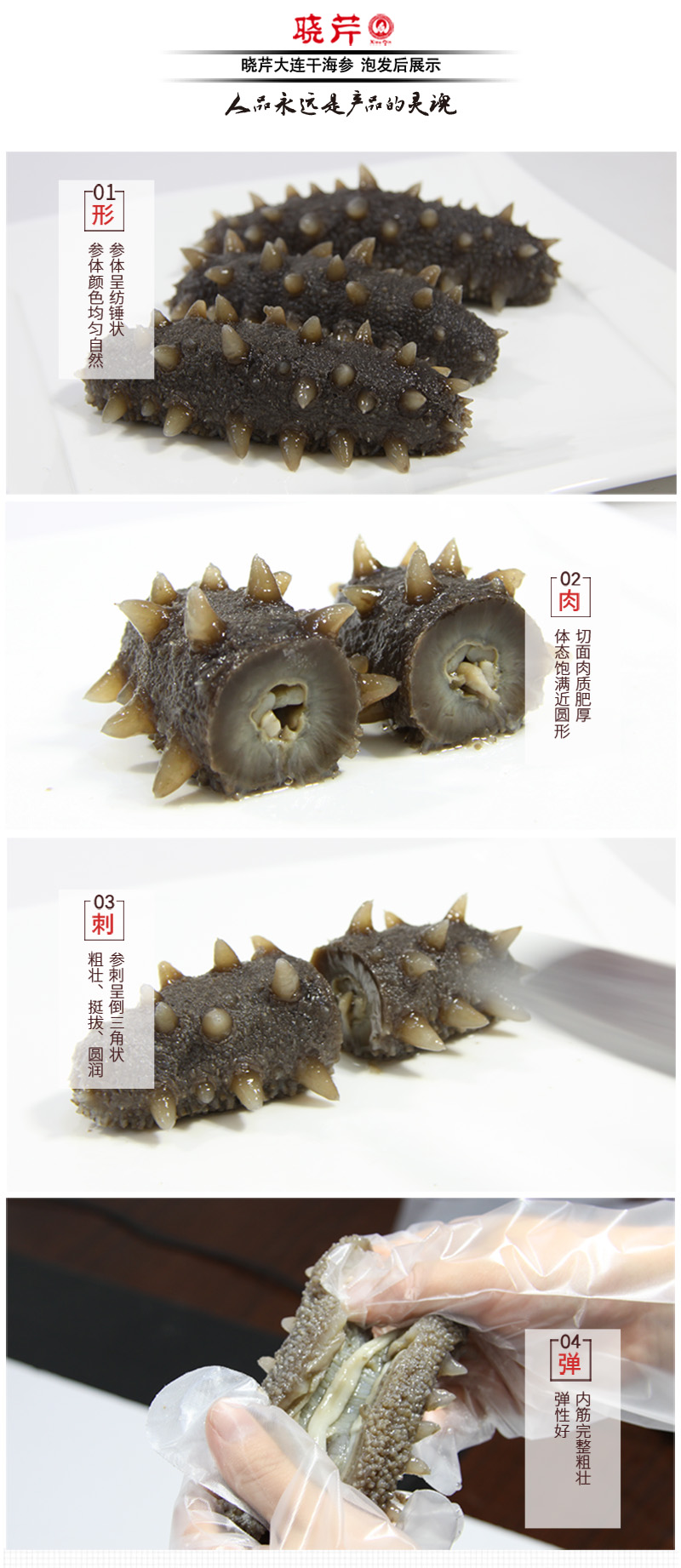 海參,干海參,大連海參,曉芹海參,海參品牌,遼刺參,海鮮水產 海參,干海參,大連海參,曉芹海參,海參品牌,遼刺參,海鮮水產