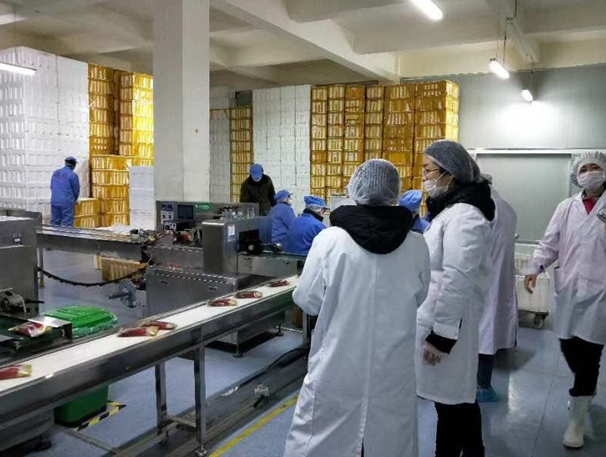 曉芹海參分揀包裝環節 曉芹海參分揀包裝環節