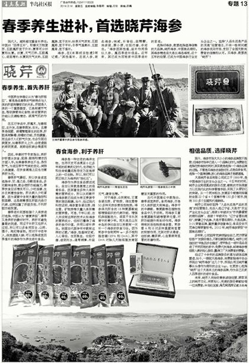 曉芹,海參,大連海參,遼寧海參,半島晨報 曉芹,海參,大連海參,遼寧海參,半島晨報