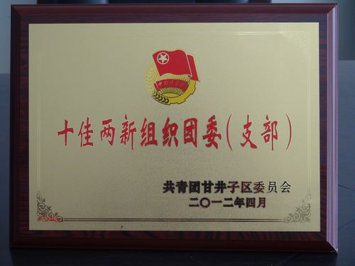 海參,曉芹海參,大連海參,團組織,團支部 海參,曉芹海參,大連海參,團組織,團支部