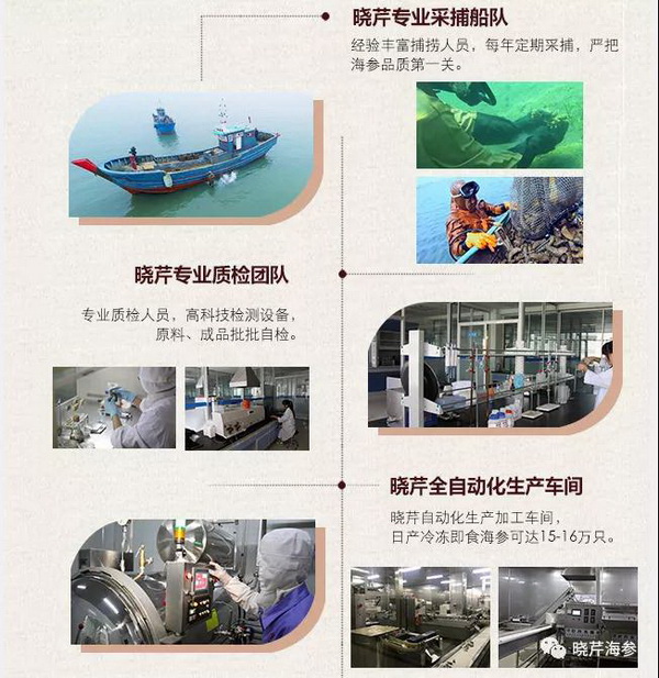 海參肽,大連海參,曉芹海參,海參,疫情,新冠,新冠肺炎 海參肽,大連海參,曉芹海參,海參,疫情,新冠,新冠肺炎